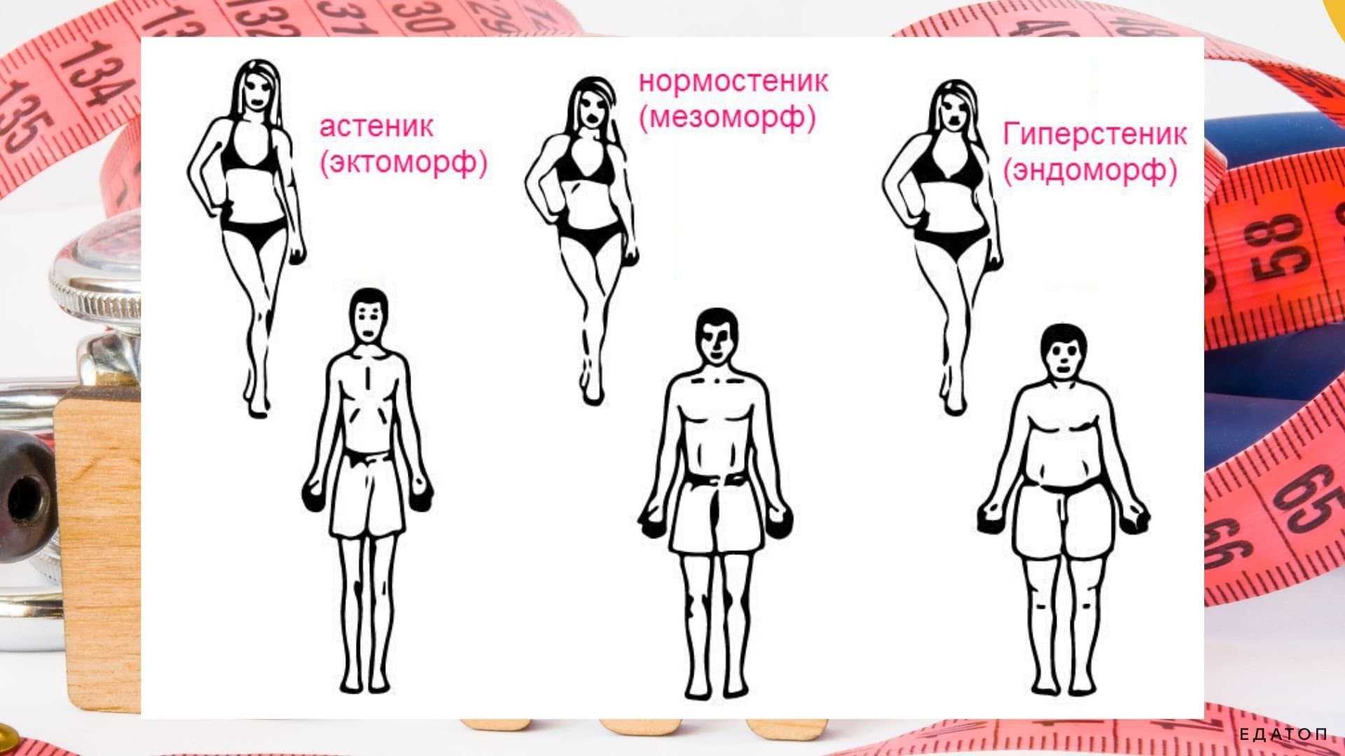 Астеническое телосложение у женщин и мужчин — характеристика