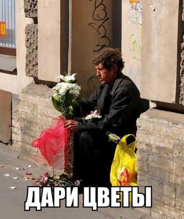 Подарил цветы прикол. Мужчина дарит цветы прикол. Мужчина дарит девушке цветы смешные. Дарите девушкам цветы прикол. Мужчина не дарит цветы прикол.