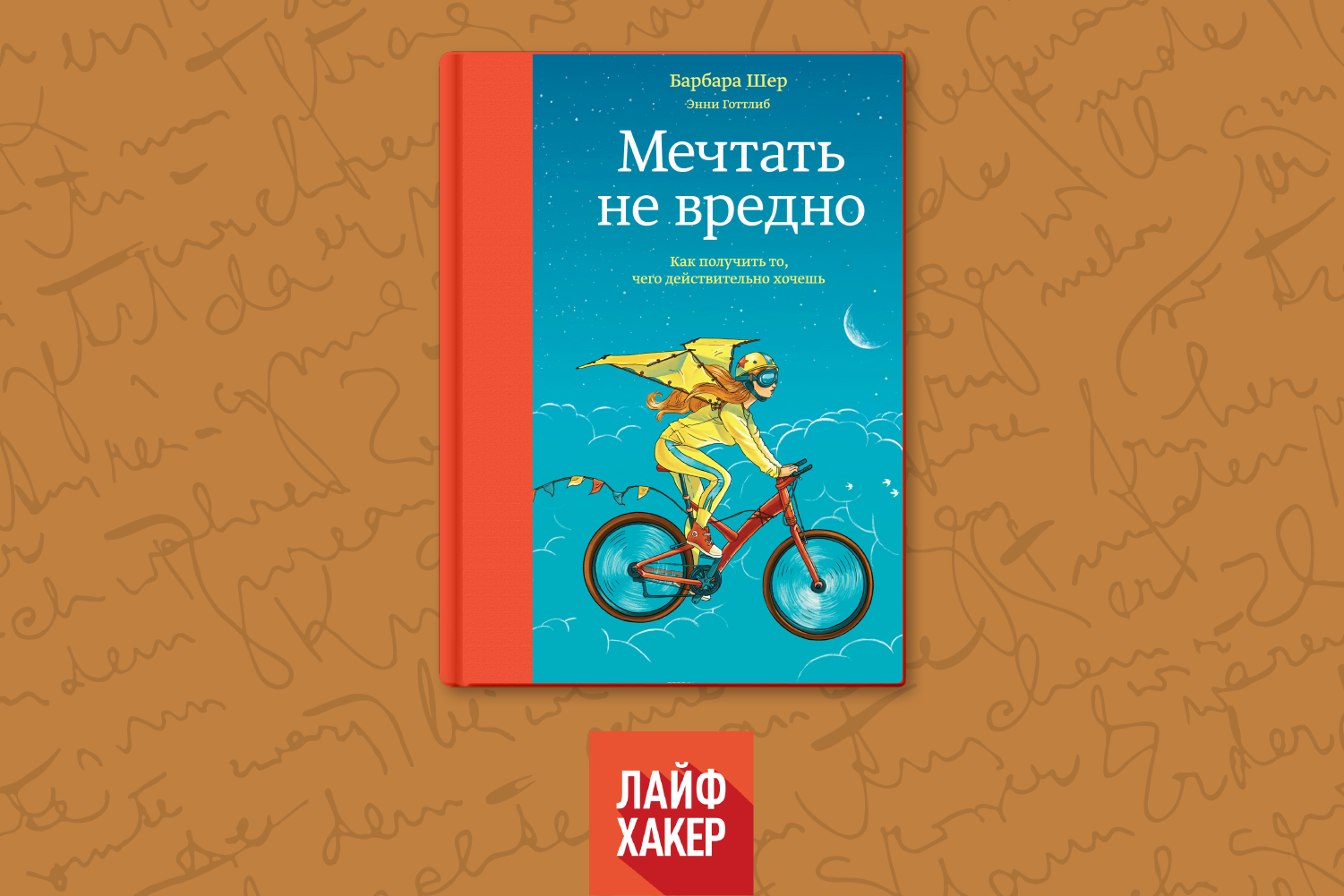 О чем книга барбары шер «мечтать не вредно»?