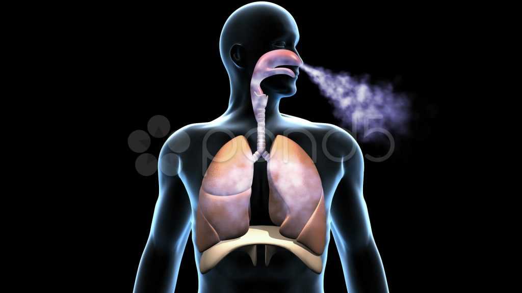 6 дыхательных практик, которые помогут быстро успокоиться - лайфхакер