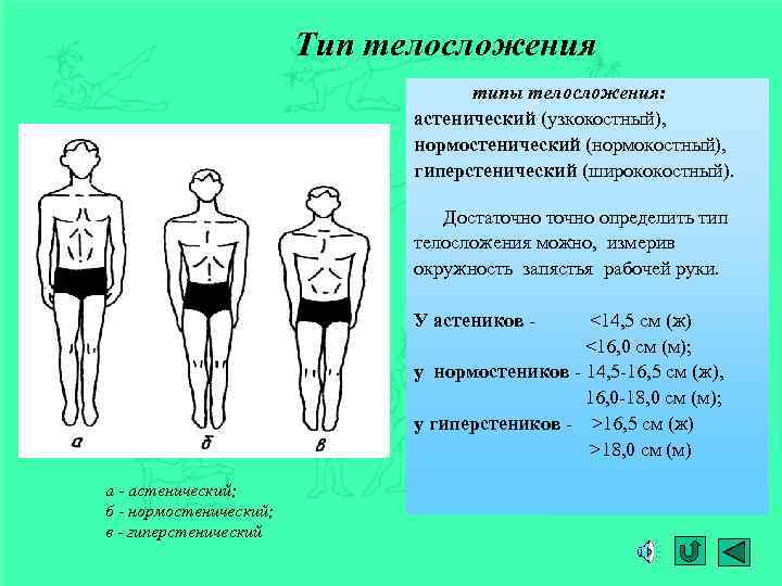 Астеническое телосложение у женщин и мужчин, фото