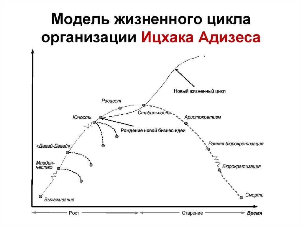 Жизненный цикл организации по адизесу