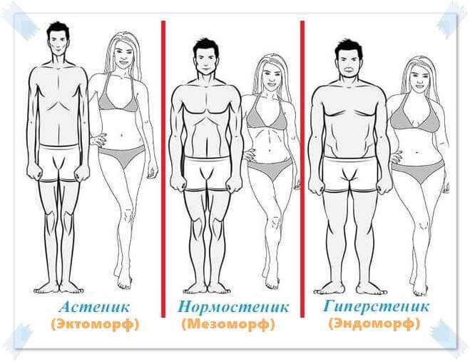 Нормостеник: определяем тип личности по телосложению