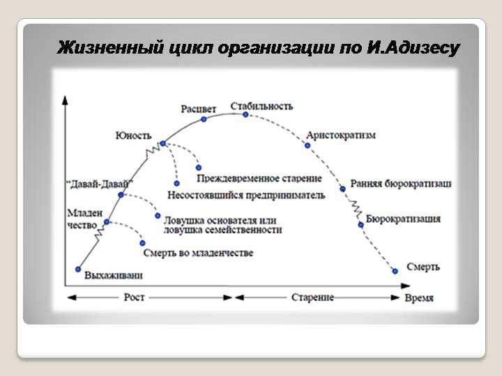 Модель жизненного цикла адизеса на практике