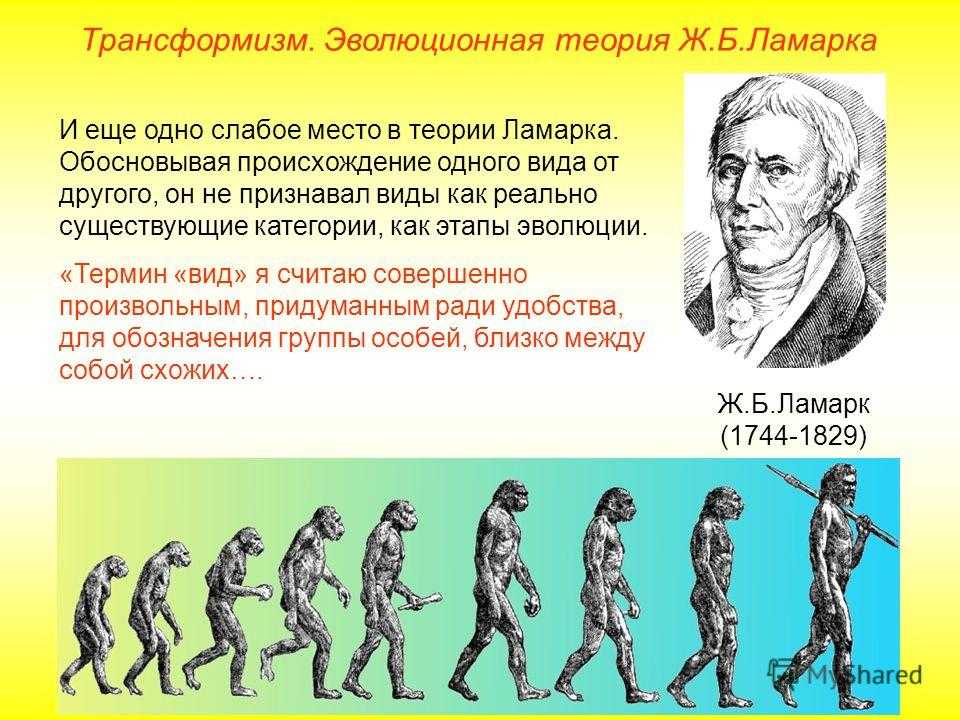 Эволюция живой природы. эволюционная теория. движущие силы эволюции.