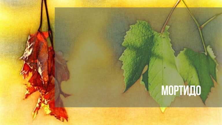 Мортидо - причины и признаки инстинкта саморазрушения