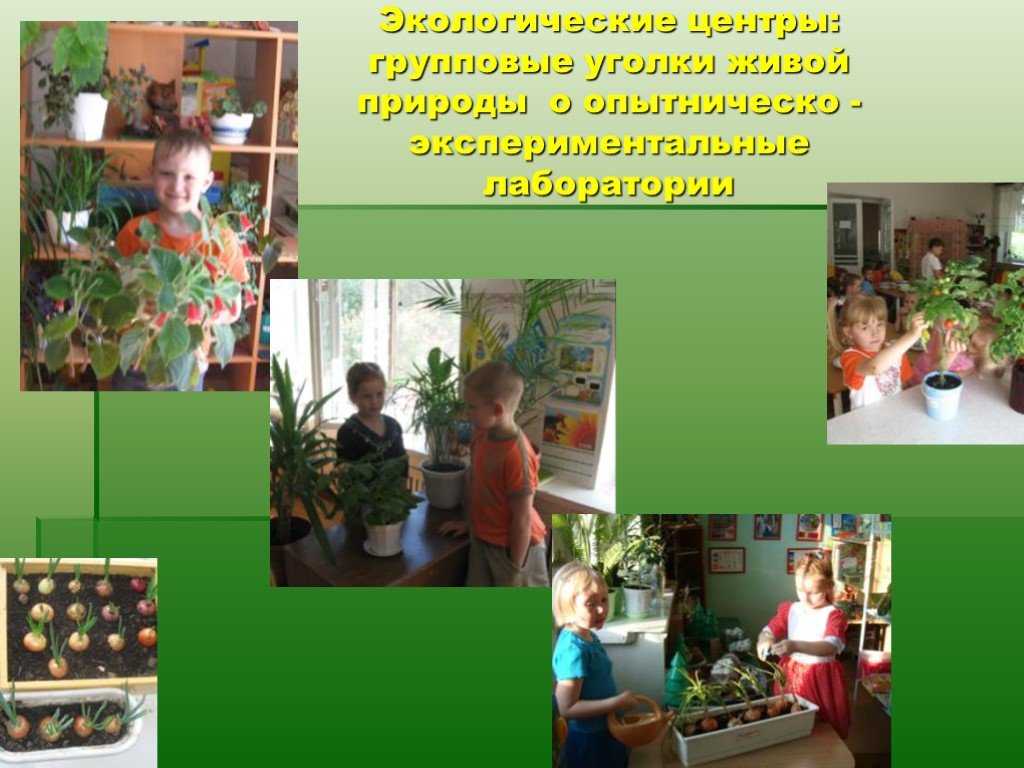 Тема экология доу. Экологические для дошкольников. Экологическое воспитание. Экологическое воспитание в детском саду. Экология для детей дошкольного возраста.