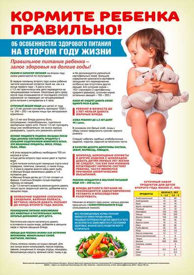 Здоровое питание детей от года до трех лет. питание ребенка от 2 до 3 лет
