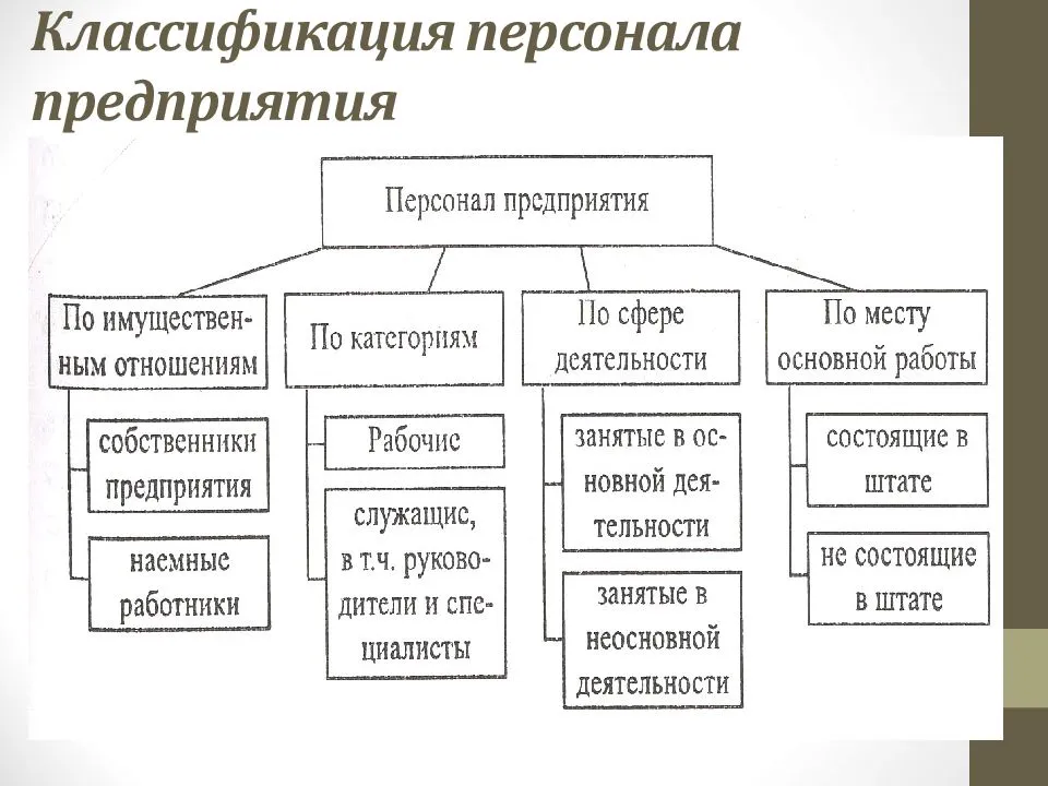 Организационная структура предприятия: схема, виды, плюсы и минусы