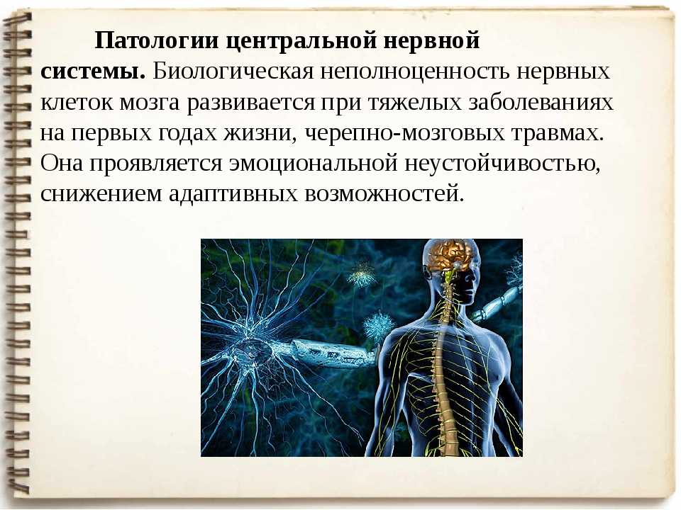 Дисфункция вегетативной нервной системы
