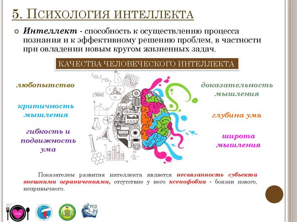 Схема профиль интеллекта