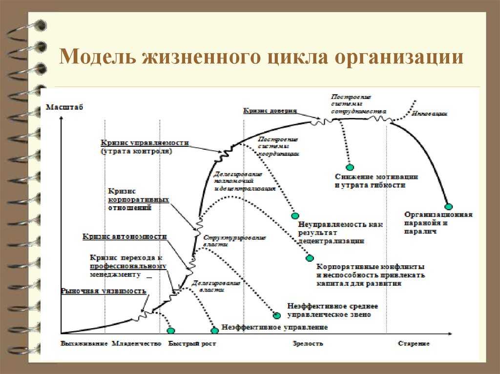 Модель жизненного цикла организации по адизесу: разбираем подробно — powerbranding.ru