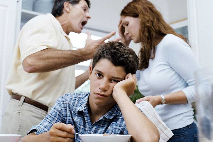 Семейные конфликты, их причины и способы разрешения