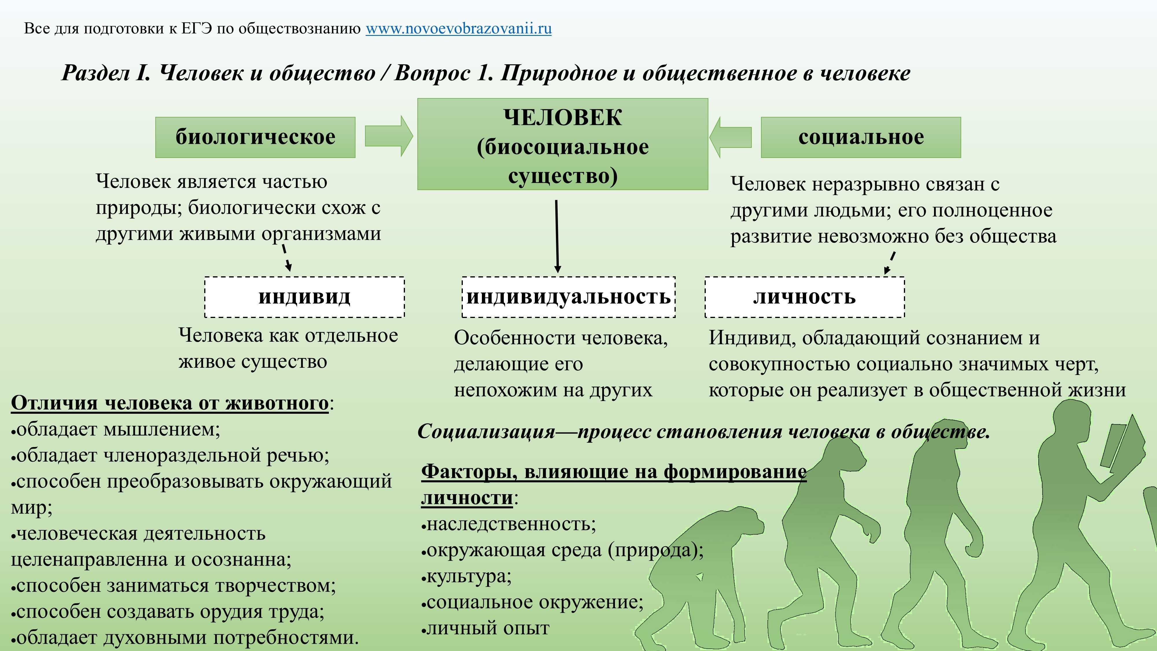 Разницу между группами. Природное и Общественное в человеке. Человек и общество Обществознание. Природное и Общественное в человеке ЕГЭ. Природное и социальное в человеке.