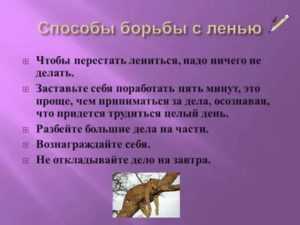 7 шагов на пути к самомотивации
