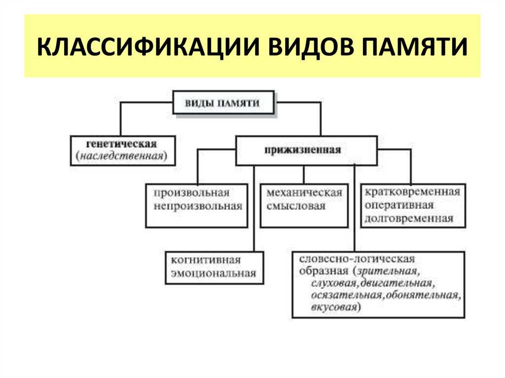 Виды памяти схема