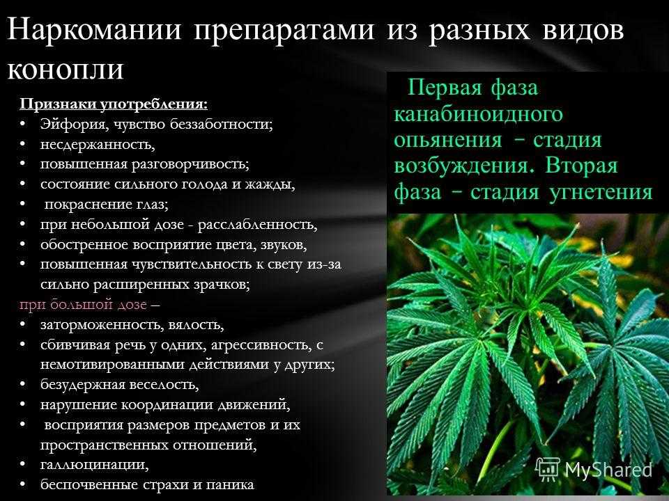 марихуана и его признаки