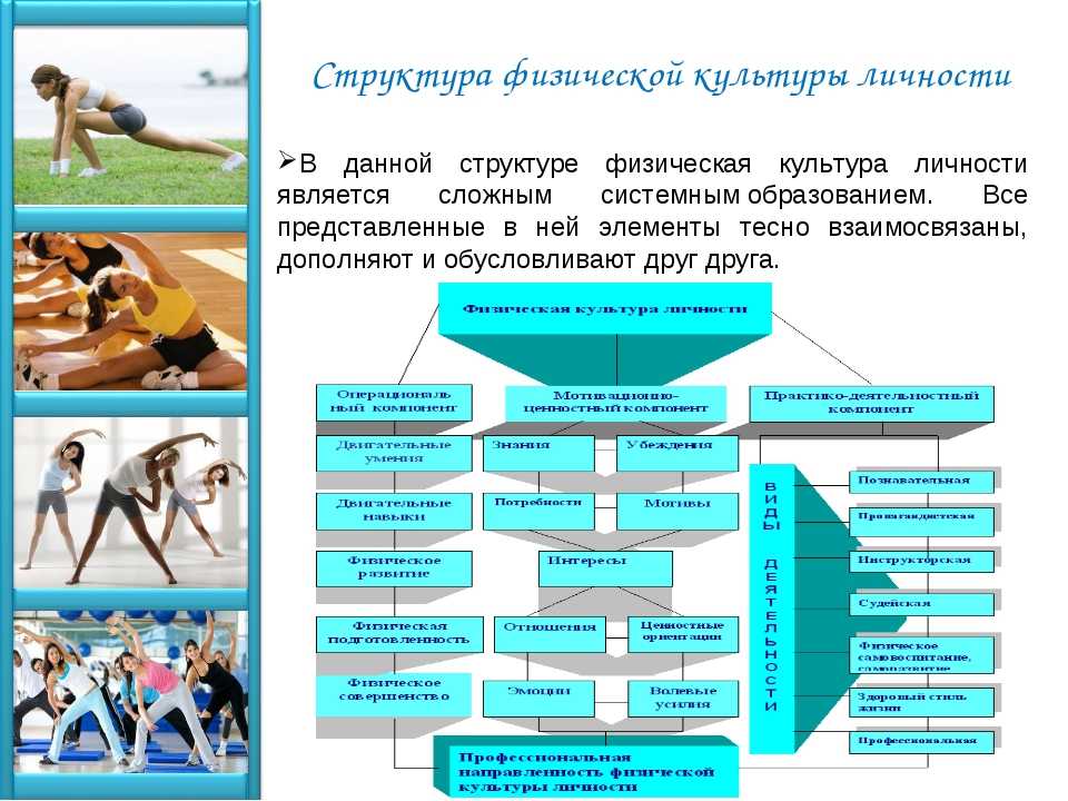 Спортивные организации являются организациями. Структура физической культуры. Физическая культура личности. Физическая культура схема. Формирование физической культуры.