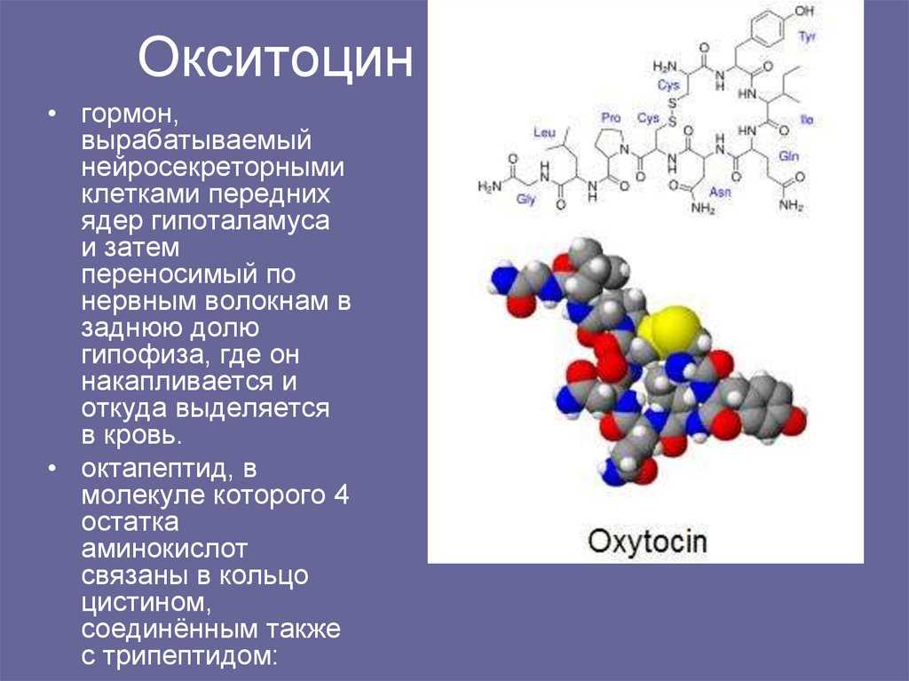 Выработка окситоцина