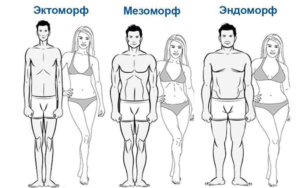 Мезоморф, эктоморф и эндоморф. теперь не запутаетесь. мезоморф, эктоморф, эндоморф: тренировки и питание. как определить свой тип телосложения?