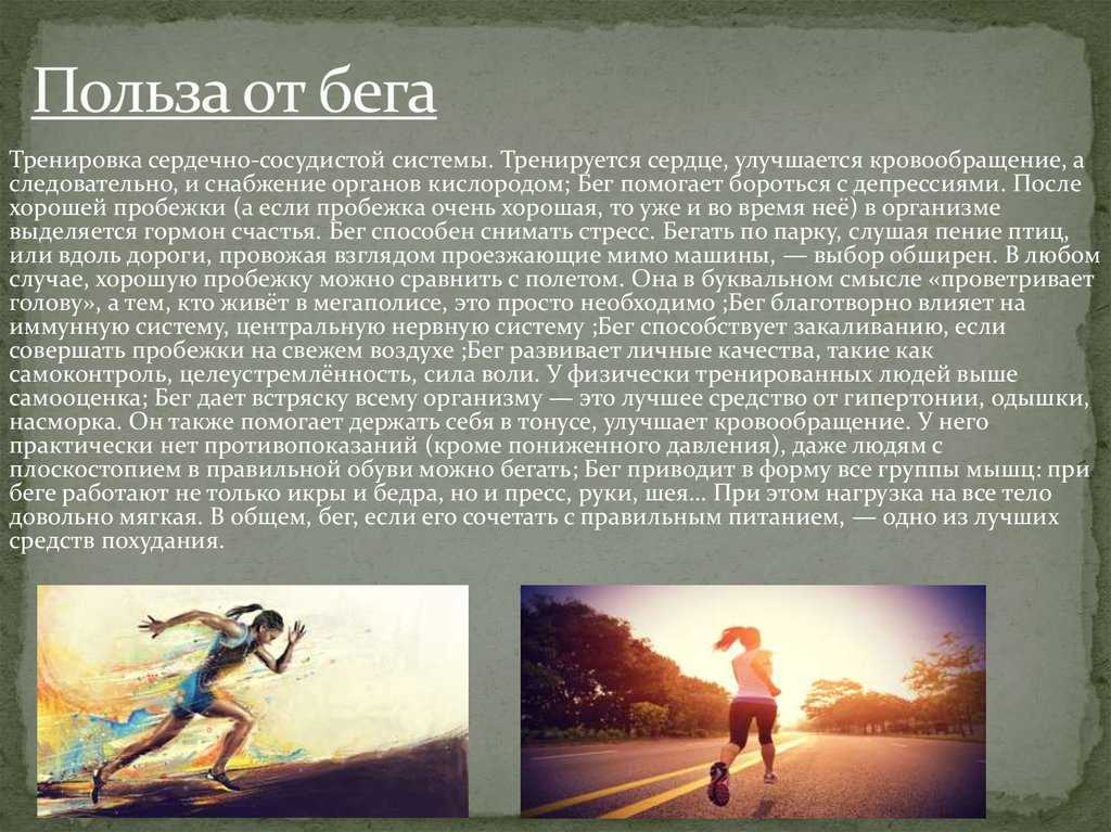 Бег: чем полезен, как правильно бегать, и что нужно знать начинающему бегуну? - жизнь в москве - молнет.ru