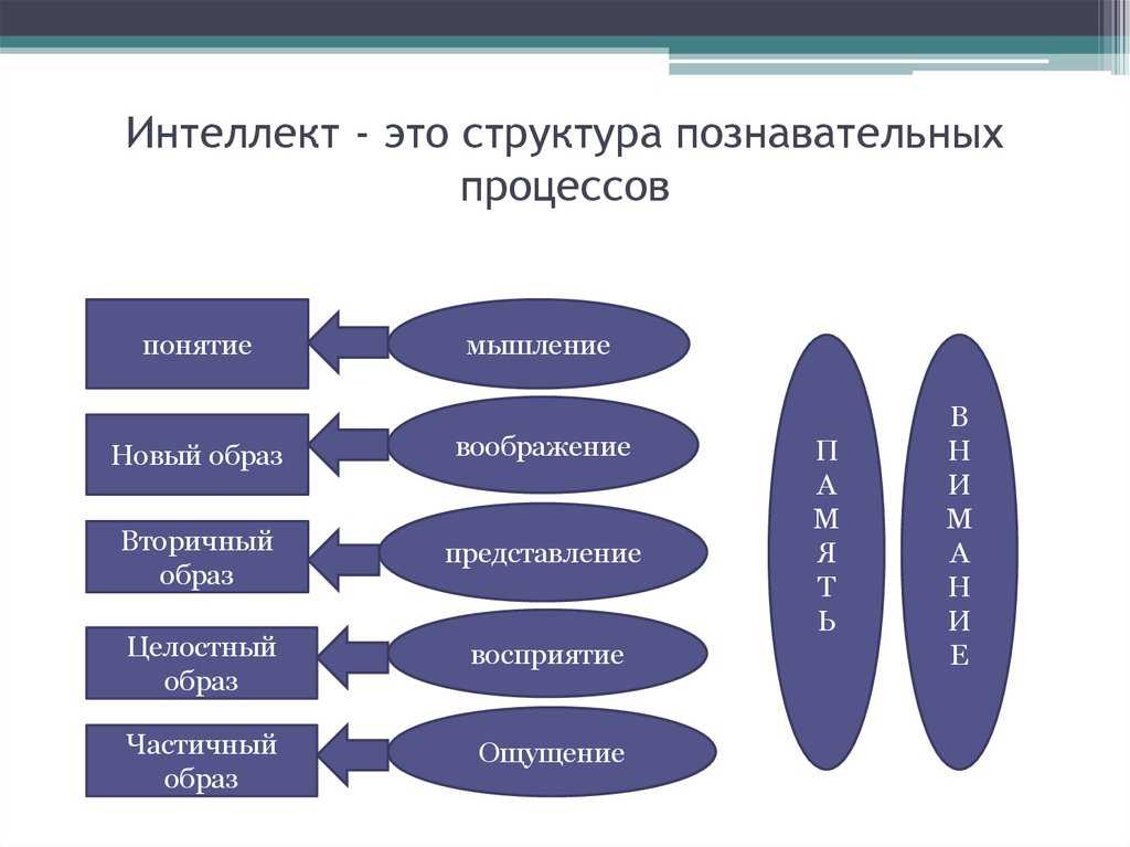 Интеллект и мышление презентация