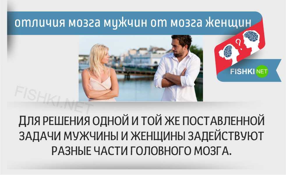 20 отличий мужчины от женщины